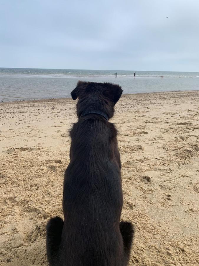 Norfolk Caravan Staycation Pet Friendly Belton with Browston Экстерьер фото