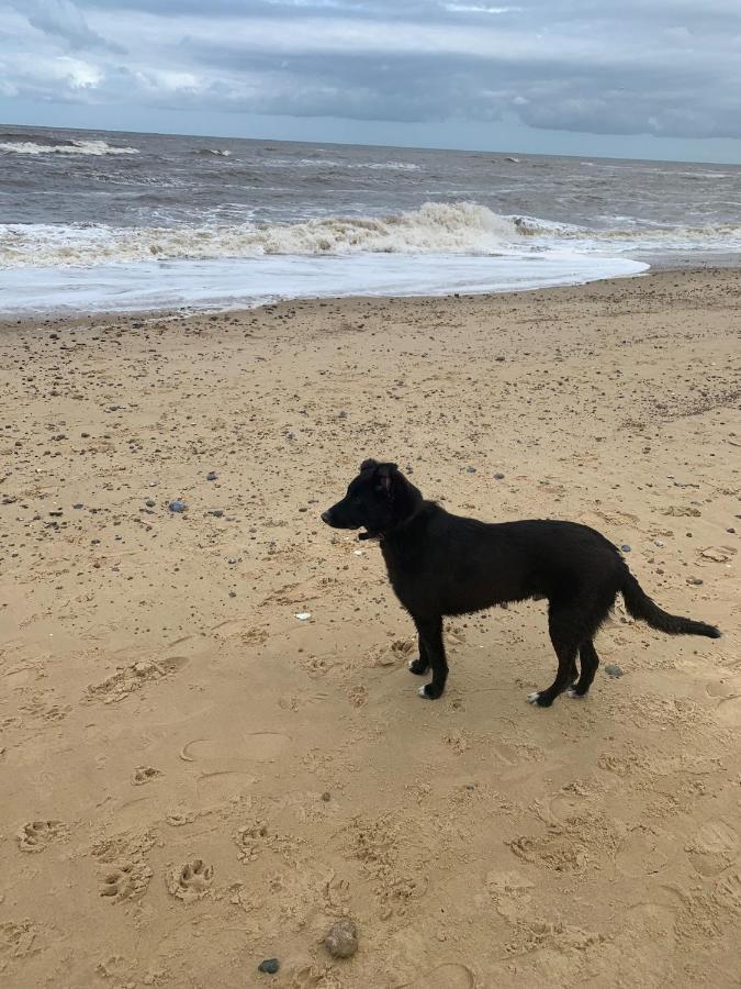 Norfolk Caravan Staycation Pet Friendly Belton with Browston Экстерьер фото